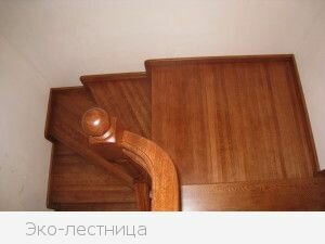 IMG_0889