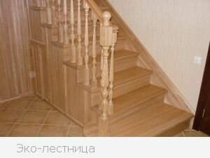P1000291